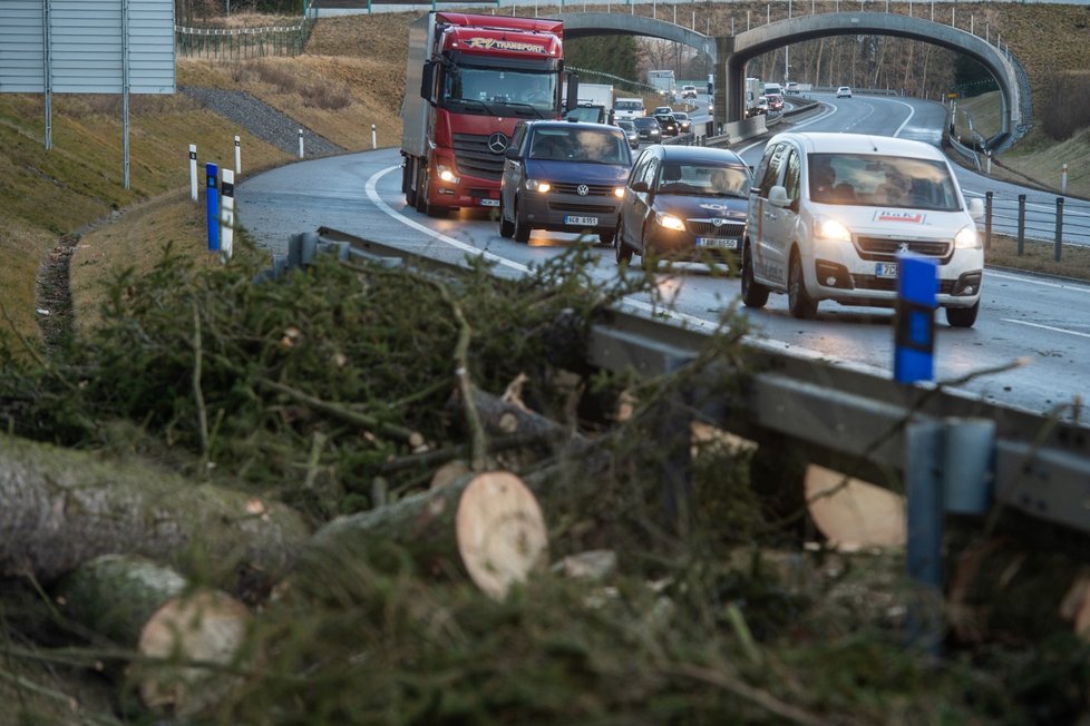 Na Táborsku 11. února 2020 v ranních hodinách zhruba na hodinu zastavil dopravu spadlý strom.