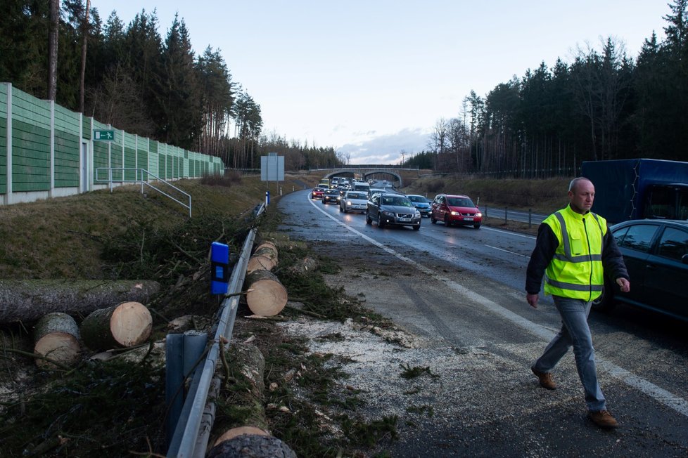 Dopravu na dálnici D3 u Soběslavi na Táborsku 11. února 2020 v ranních hodinách zhruba na hodinu zastavil spadlý strom.