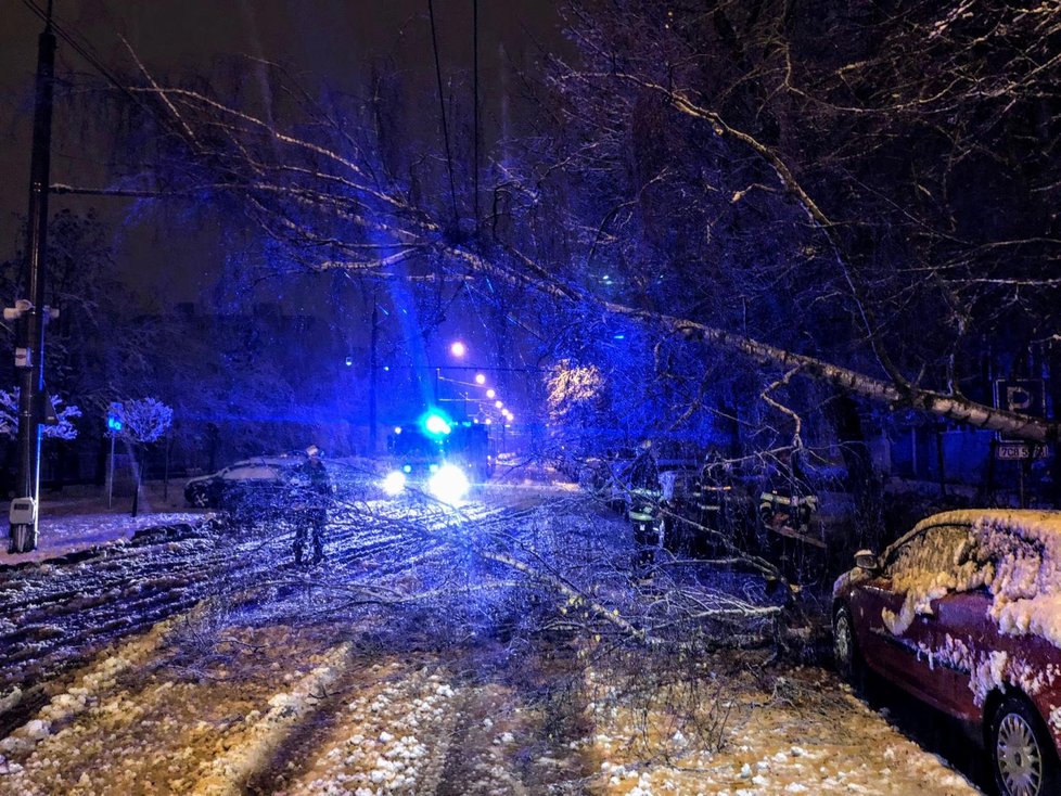 Hasiči odstraňují spadlý strom na zasněžené vozovce v Českých Budějovicích (6.12.2022)