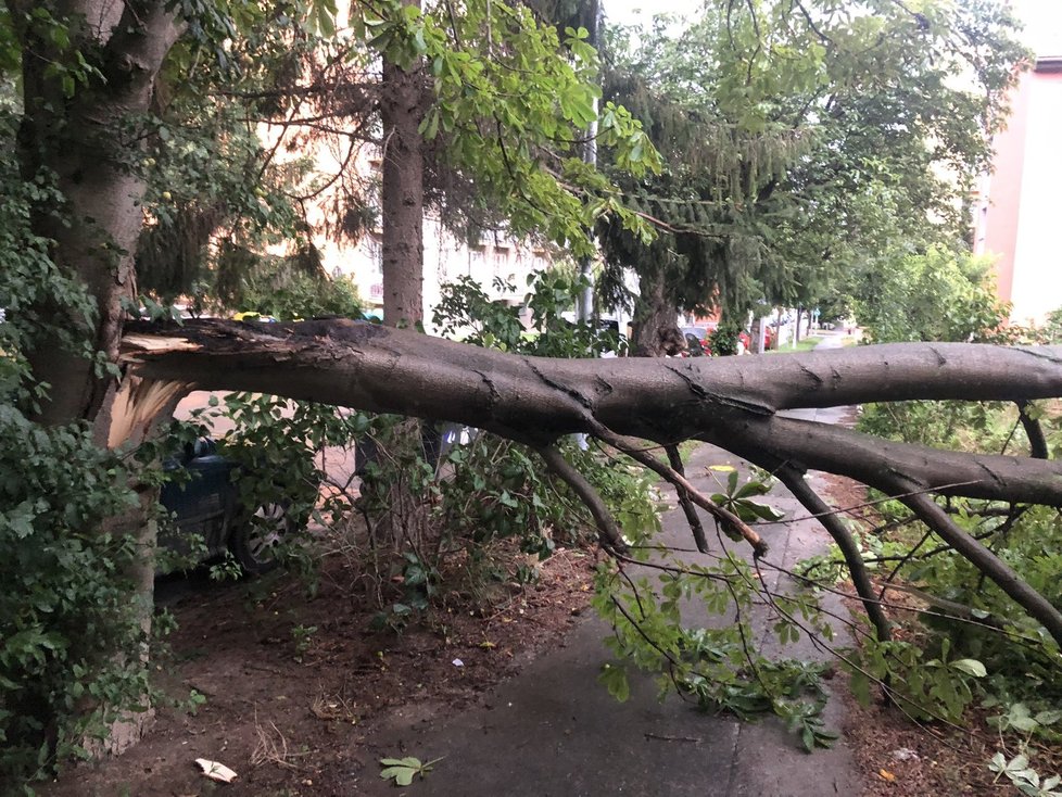 Večerní bouřky napáchaly v Brně rozsáhlé škody (28. 7. 2020).