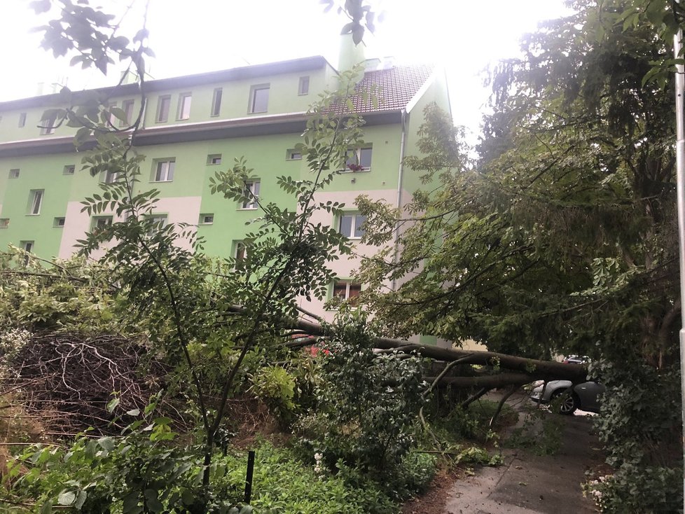 Večerní bouřky napáchaly v Brně rozsáhlé škody (28. 7. 2020).