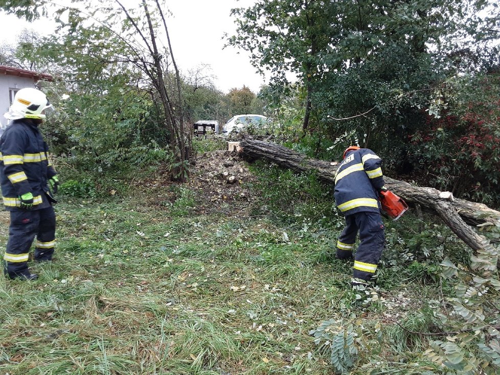 Jihomoravský kraj bojoval s povodněmi a vydatným deštěm. (14.10.2020)