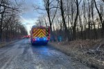 Poblíž Jíloviště spadl strom na jedoucí vůz. (24. leden 2024)