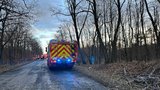 Dramatická nehoda kousek za Prahou: Na auto spadl strom, řidiče (67) odvezla záchranka