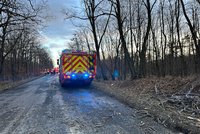 Dramatická nehoda kousek za Prahou: Na auto spadl strom, řidiče (67) odvezla záchranka