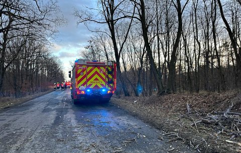 Dramatická nehoda kousek za Prahou: Na auto spadl strom, řidiče (67) odvezla záchranka