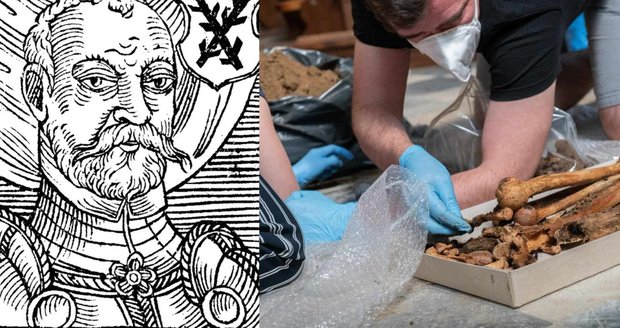 Ostatky prošly řadou analýz. Jindřich z Lipé měl více než 170 centimetrů, byl robustní postavy. Měl pestrou stravu s vysokým obsahem bílkovin.