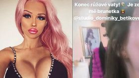 Vážně nemocná česká Barbie s poprsím č. 8: Konec růžové vaty na hlavě!