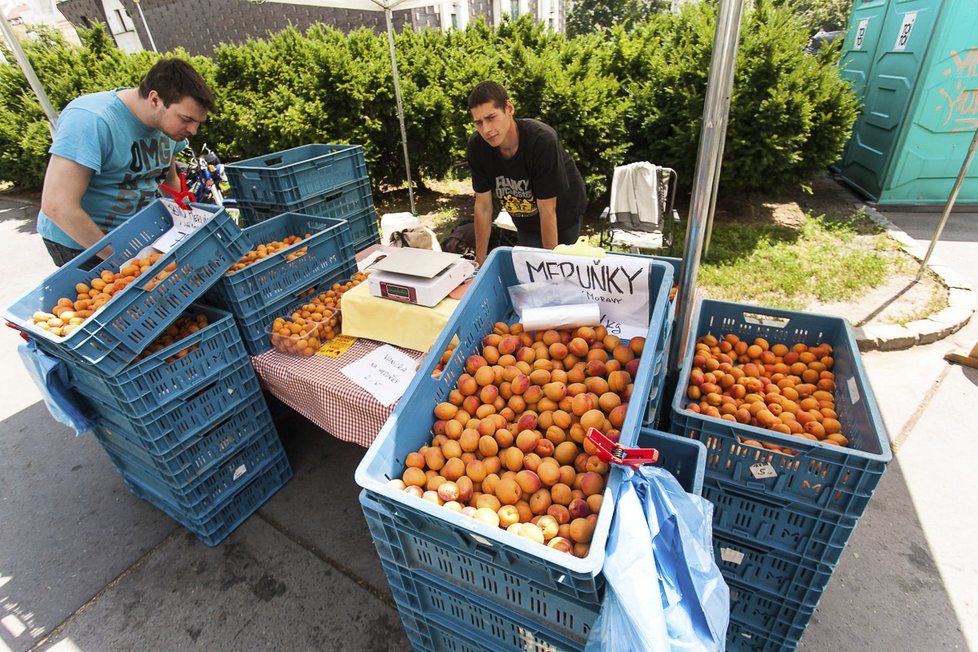 Na Jiřáku můžete opět navštívit farmářské trhy.