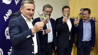 Zápisník Jany Havligerové: Předvolební doba rozhodně nudná nebude