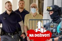 Na doživotí: Šílenec Jiří Dvořák se krutě mstil, zranil policistu a zastřelil úřednici!