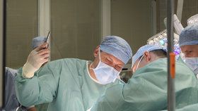 Lékaři v pražském IKEMu ročně provedou přes 450 transplantací orgánů.