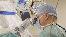 Lékaři v pražském IKEMu ročně provedou přes 450 tranplantací orgánů.