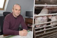 Kilo vepřové kýty za 39 korun: Levné polské maso válcuje české zemědělce