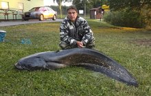 Otrokovická »lochneska«: Sumec měl 224 cm a 77 kg!