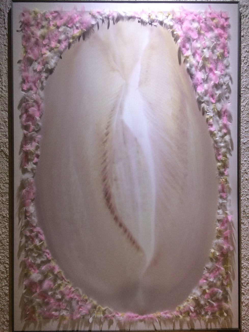 Jedno z nejzajímavějších děl celé výstavy vychází z Erotické série tulipánů. Jeden z nich vypadá na první pohled jako vagína. Jeho dráždivé vyznění dokreslují nalepená peříčka podél okrajů.