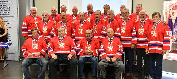 Bývalí českoslovenští hokejoví reprezentanti, kteří v roce 1976 postoupili do finále Kanadského poháru, stali se mistry světa a získali stříbrné medaile na olympijských hrách. Jiří Novák v horní řadě druhý zleva.