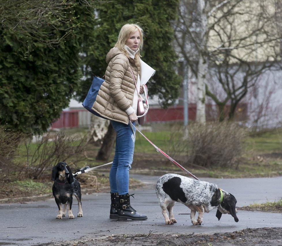 Petra si odvedla i dvě feny rasy modrý gaskoňský baset