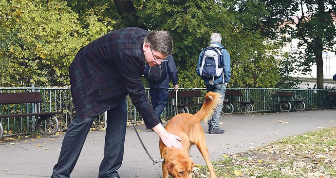 Hodnej pejsek, uvolni se až na trávníku