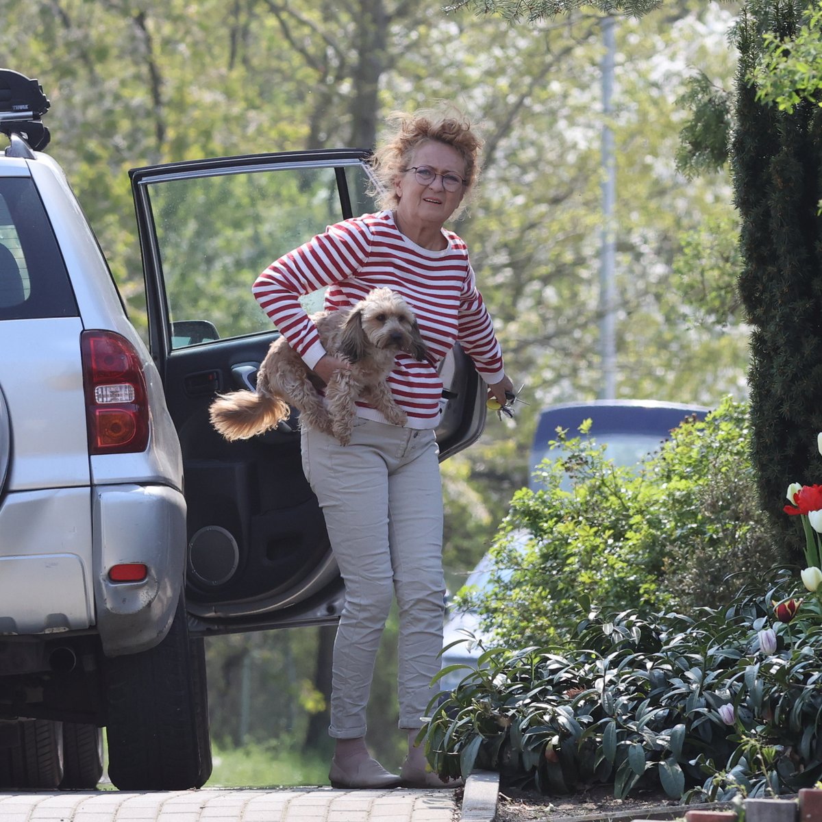 Simona Stašová přijela na oslavu s jedním ze svých dvou pejsků.