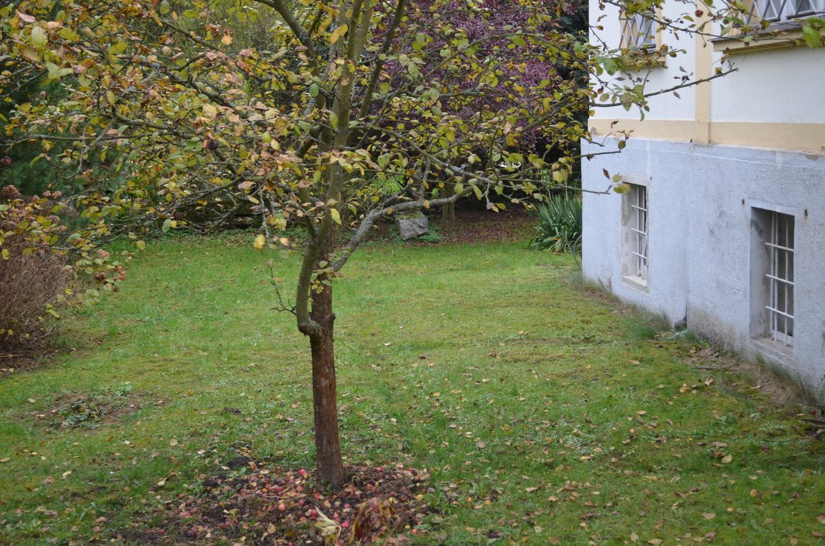 O zahradu se stará Jana Svítivá, listí je z velké části shrabané.