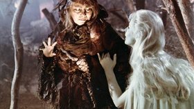 Jiřina Šejbalová a Jana Andrsová v Rusalce