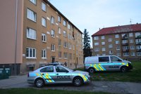 Drama v Jirkově: Muž údajně vyhodil po hádce ženu z okna