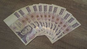 Jeden z Danových kamarádů jeho mamince předal 12 tisíc korun, které se při koncertě vybraly.
