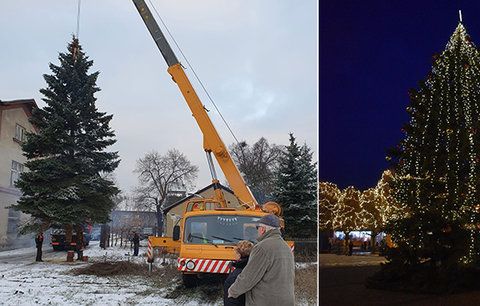 Vánoční strom Jirkova zasazoval dárce před 45 lety synovi: Rodina 15metrový smrk darovala městu