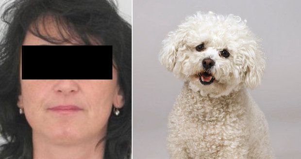 Jitka byla bohužel zavražděna. Její pes se nenašel.
