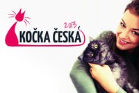 Nejkrásnější KOČKA ČESKA: Hlásí se i miss Válková!
