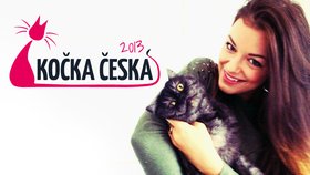 Nejkrásnější KOČKA ČESKA: Hlásí se i miss Válková!