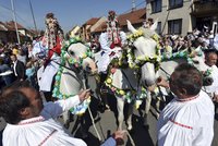 Ve vedru a s růží v puse. Martin (10) vedl Jízdu králů, víno poteče proudem