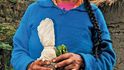 Venkovanka z pohoří Cordillera Blanca v Peru si nese domů druh šťovíku na vylepšení jídla.
