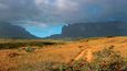 Stolové hory Roraima a Kukenán