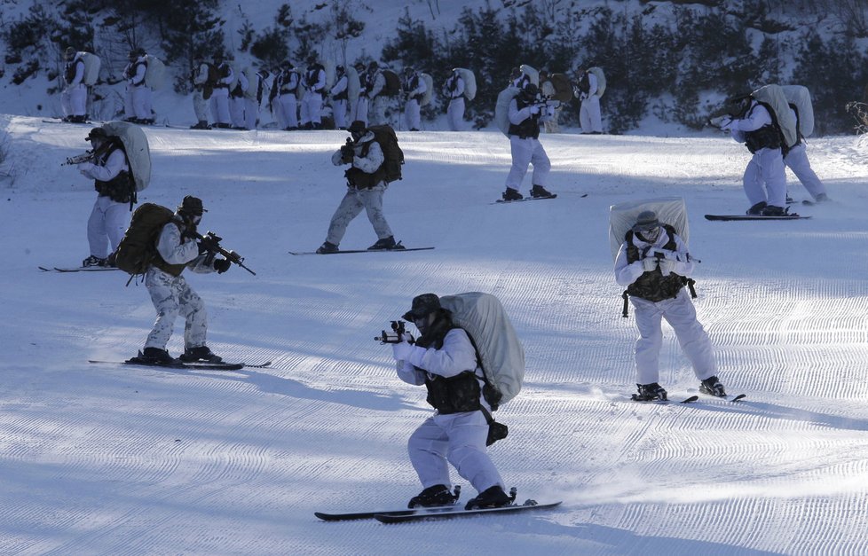 Cvičení jihokorejských a amerických vojáků