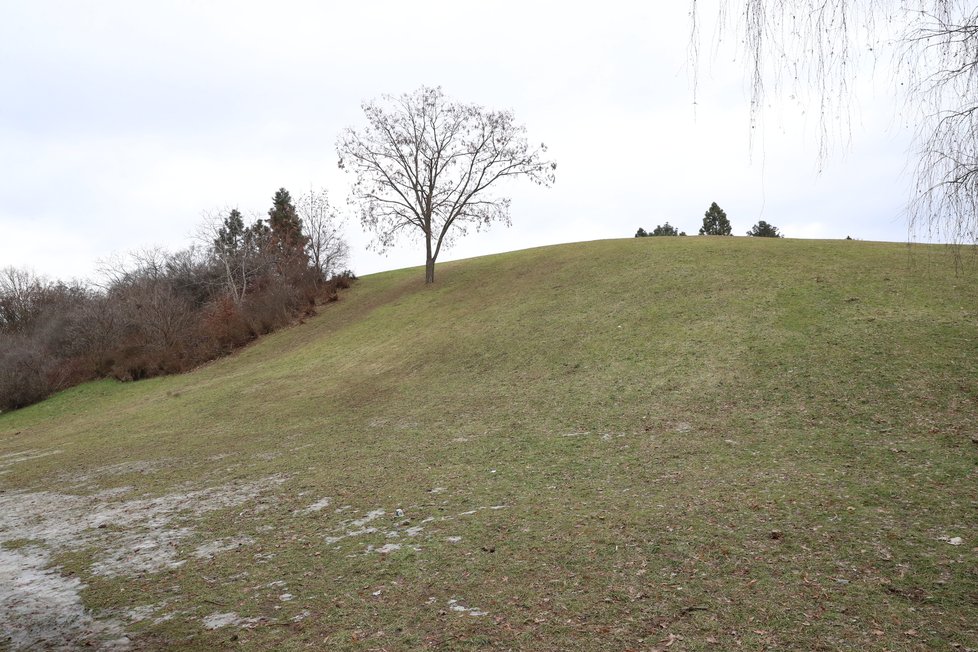 Radnice Prahy 11 hodlá u úpatí vršku Chodová zbudovat psí agility hřiště. Místní se ale obávají, že zbudování hřiště znemožní dětem jejich zimní radovánky. V případě sněhu se zde totiž hojně sáňkuje a bobuje.