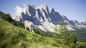 Udržitelně a ekologicky i o prázdninách? Vyrazte do Jižního Tyrolska!