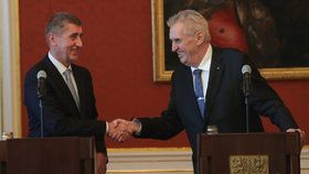 Prezident Miloš Zeman a premiér Andrej Babiš