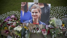 Vražda britské poslankyně Jo Coxové: Improvizované pietní místo před britským parlamentem