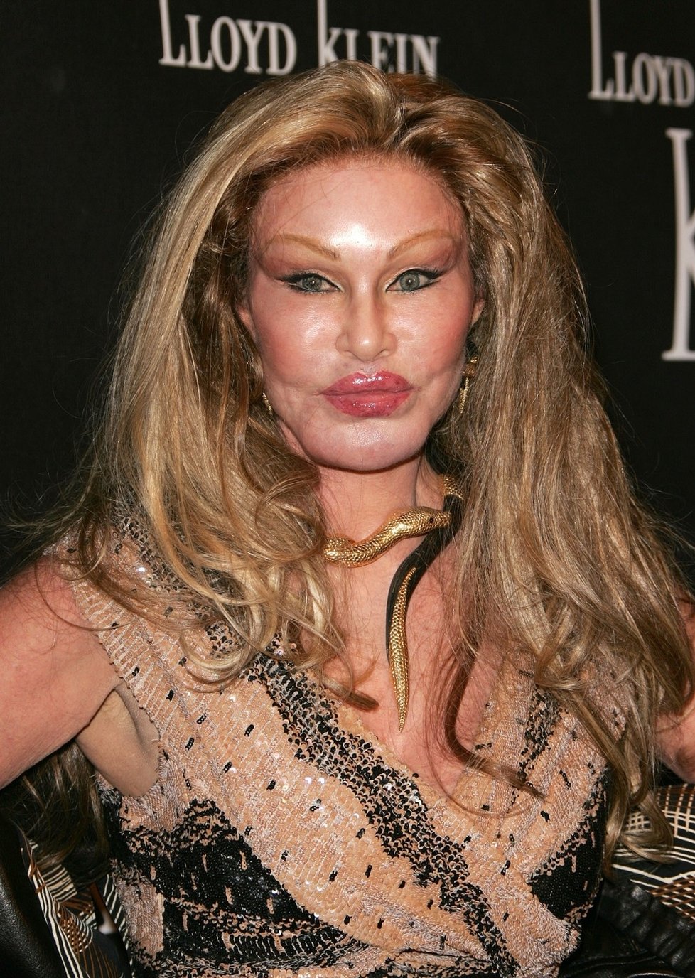 Jocelyn Wildenstein se změnila v plastikové monstrum.