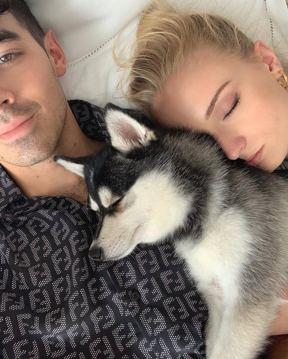 Joe Jonas a Sophie Turner přišli o pejska.