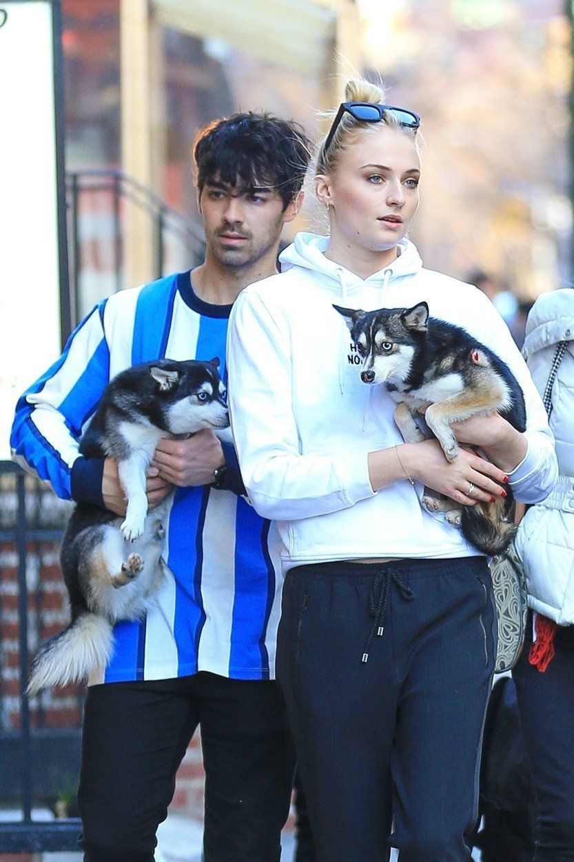 Joe Jonas a Sophie Turnerová přišli o pejska.