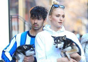 Joe Jonas a Sophie Turnerová přišli o pejska.