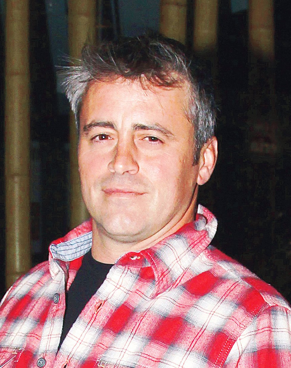 Matt LeBlanc