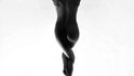 Černobílá elegance nahého ženského těla