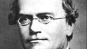 Johann Gregor Mendel je považován za zakladatele genetiky