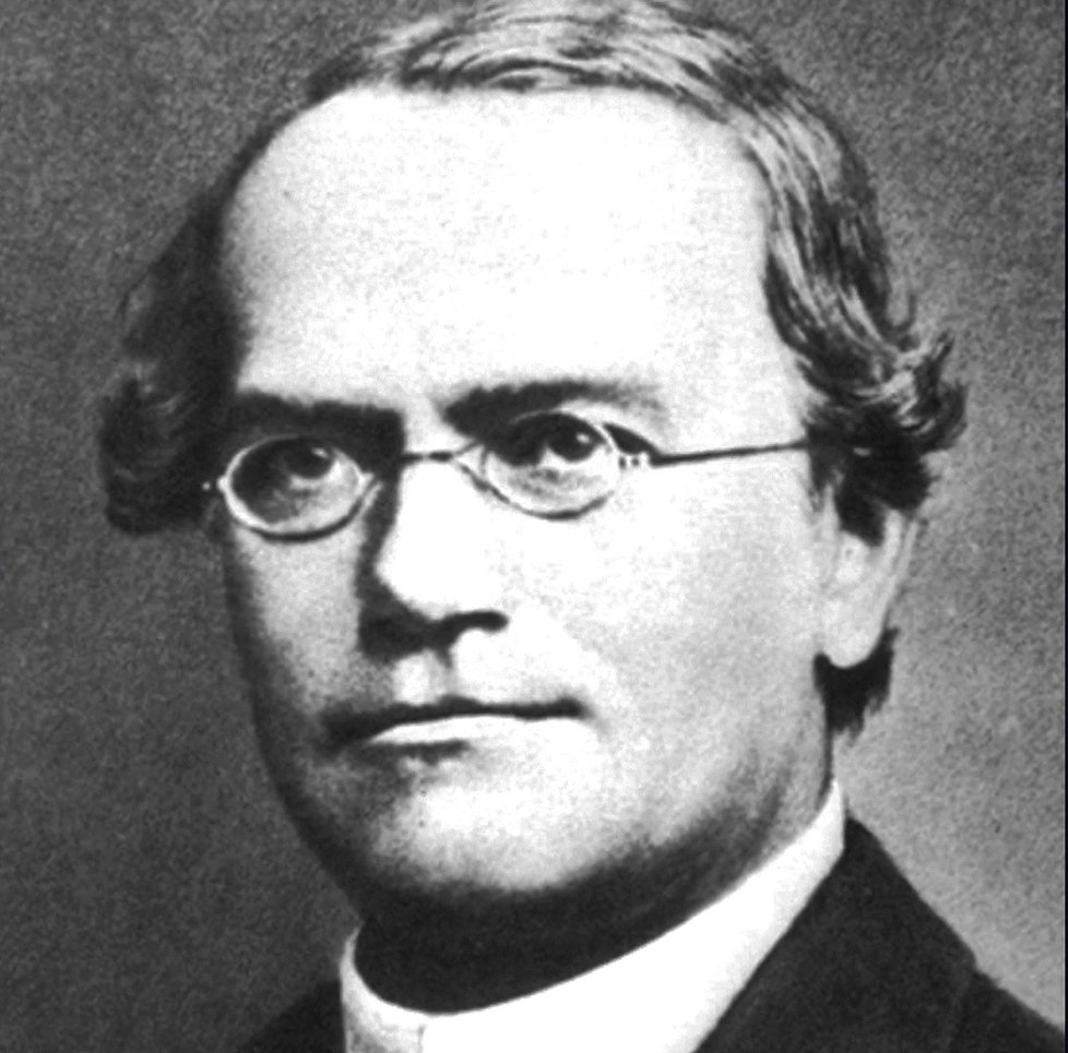 Johann Gregor Mendel je považován za zakladatele genetiky.