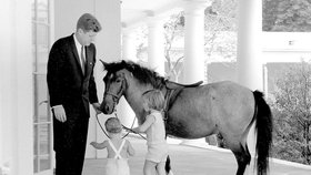 1962 - Netradiční návštěva v Bílém domě. Kennedyho děti přišly i s poníkem jménem Macaroni, jehož malé Caroline daroval tehdejší viceprezident L. Johnson.