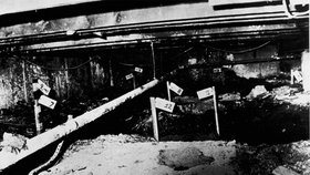 Sériový vrah John Wayne Gacy, který se převlékal za klauna, spáchal třiatřicet vražd.